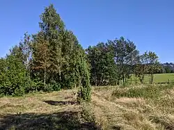 vřesoviště ve spodní části PP