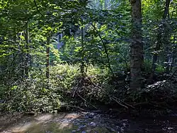 pohled do chráněného území přes říčku Ondřejnici