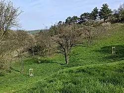 Sad ve střední části přírodní památky