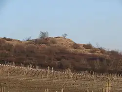 Růžový kopec (březen 2012)