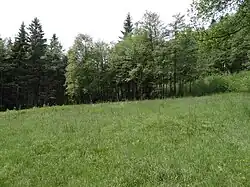 Chráněné území Rašeliniště pod Předním vrchem na úpatí kopce