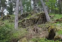 Výchoz serpentinitu v PP Rojetínský hadec