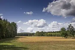 Centrální oblast V Lukách