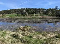 Rybník Starý u Líchov