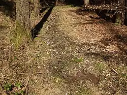 pěnovcové prameniště