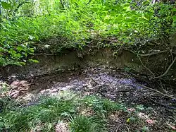 Selský potok v nejjižnějším cípu chráněného území