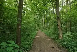 žlutě značená stezka v jihozápadní části chráněného území