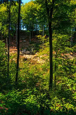 PP Střítěžská rokle