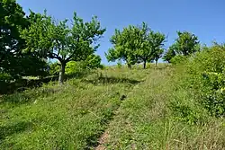 Lokalita nad Truzenicemi