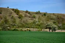 Východní část PP Stroupeč