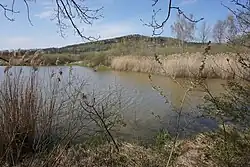 Nejzápadnější z chráněných rybníků