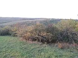 PP a EVL Studánkový vrch