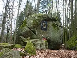 Menhiry vprostřed přírodní památky