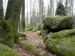 Přírodní památka Svaty Bernard severně od vrchu Lišák