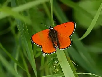 alternativní popis obrázku chybí