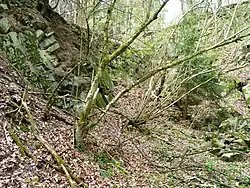 Opuštěný lom je přírodní památkou