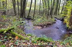 V místě přírodní památky U cihelny