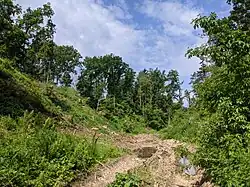 Rokle v centrální části chráněného území