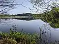 Raputovský rybník v dubnu 2024