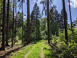 jihozápadní okraj chráněného území