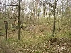 Severozápadní okraj PP Žraločí zuby lemovaný buližníkovými balvany