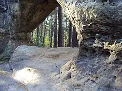 Švarcvaldská brána