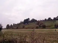 severní část přírodní rezervace Šévy