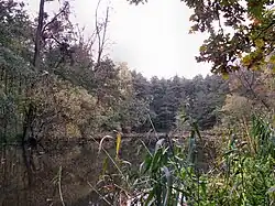 Vranovický a Plačkův les