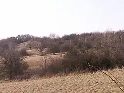 Přírodní rezervace Zouvalka