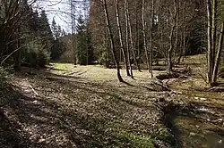 Údolí Vošmendy začátkem jara