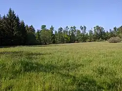 celkový pohled na lokalitu v květnu 2023