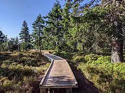 část chráněného území poblíž vrcholu