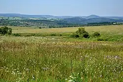 Východní část louky u Adolfova