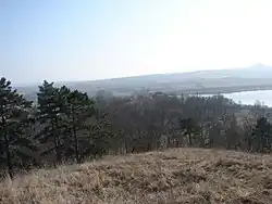 Pohled ze severní části rezervace na část jižní