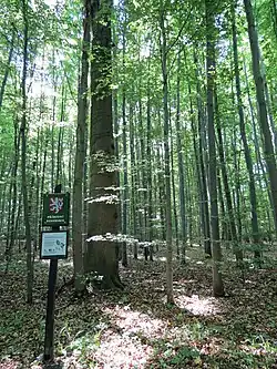 Přírodní rezervace Březinka