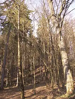 okraj PR Bayerova nad Rybníčky