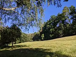 komplex vlhkých lučních společenstev s početným výskytem vstavačovitých