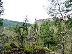 Pohled z rezervace na hrad Velhartice