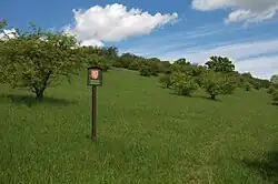 Dřínovská stráň