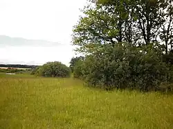 Slatinné louky přiléhající k rybníku