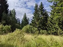 severní okraj chráněného území