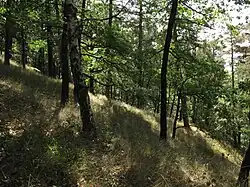 PR Hradištský vrch (002).jpg