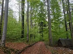 okraj PR Karlovice - sever