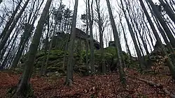 Skála Havranka, přírodní rezervace Klenov