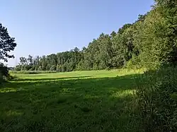 celkový pohled na rezervaci od jihu