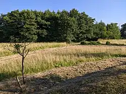 PR Královec v červenci 2022