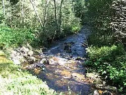 Řeka Losenice na pomezí rezervací Losenice a Losenice II