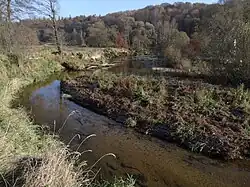 Přírodní rezervace Meandry Smědé (listopad 2016)