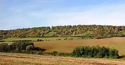 Milská stráň (v pozadí) od jihu