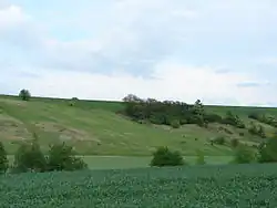 Přírodní rezervace Mušenice u Rašovic